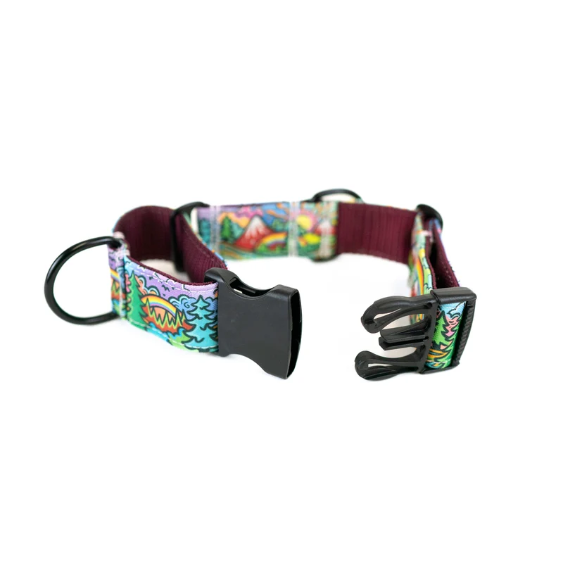 Rainbow Ridge Buckle-On Martingale Dog Collar