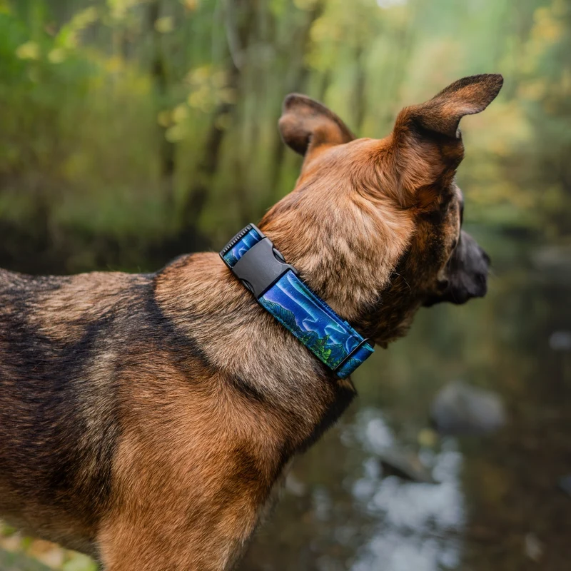 Luminous Peaks Buckle-On Martingale Collar