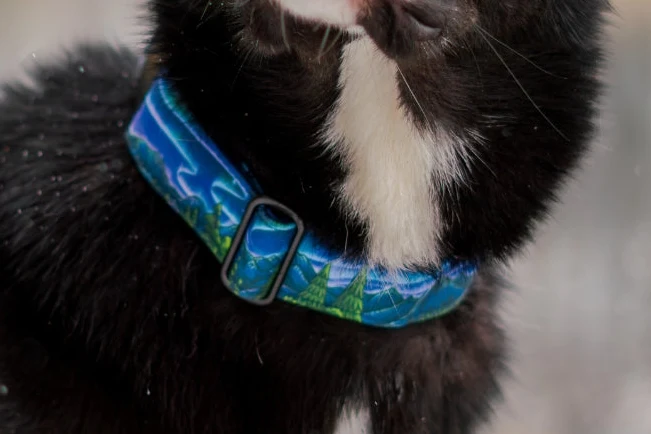Luminous Peaks Buckle-On Martingale Collar
