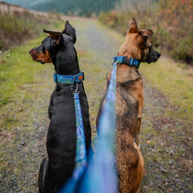Luminous Peaks Collar