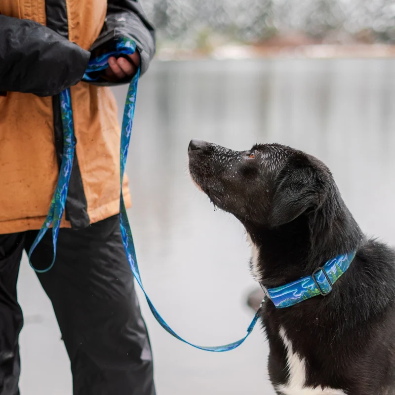 Luminous Peaks Leash
