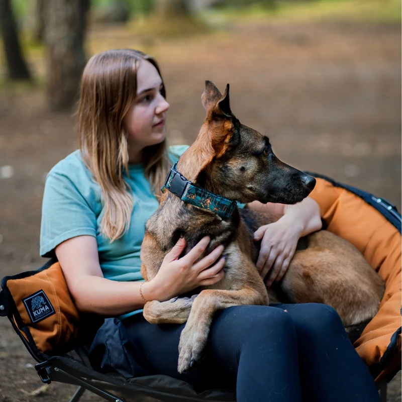 Sasquatch Shadows Buckle-On Martingale Collar