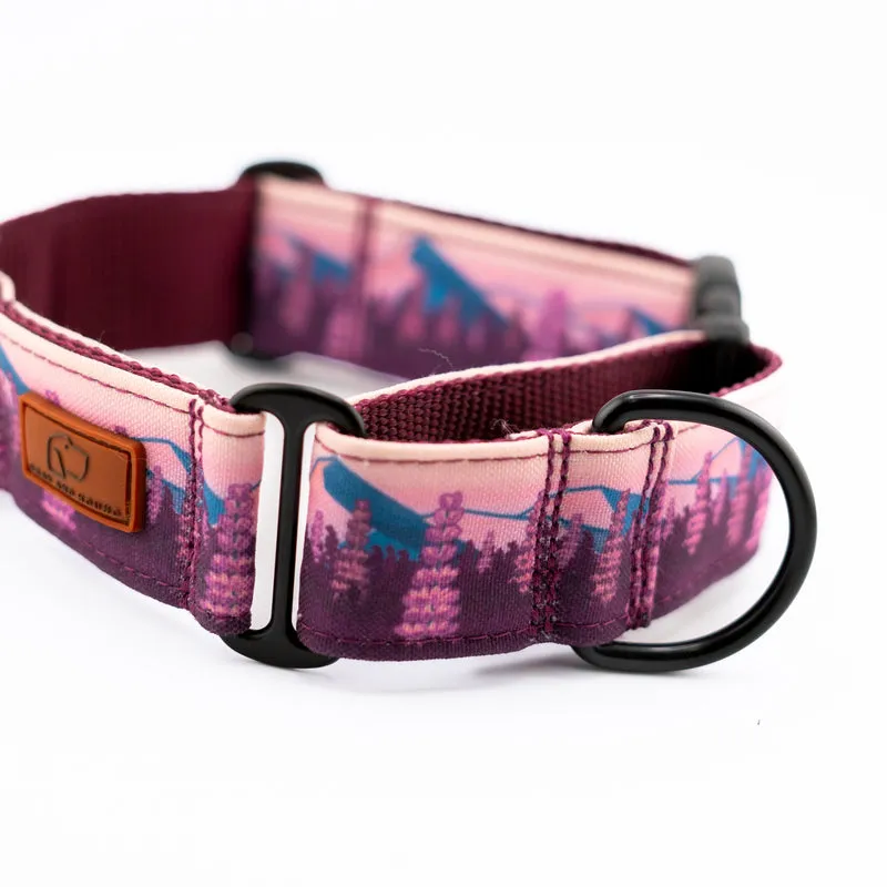 Buckle-On Martingale Dog Collar (all designs)