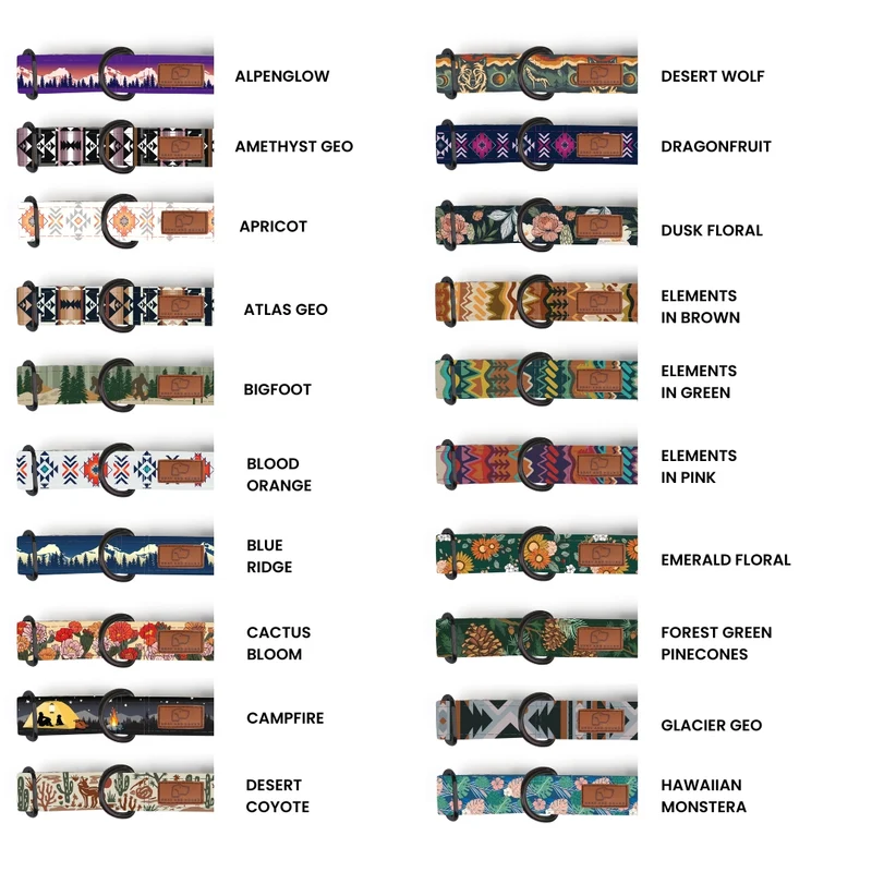 Buckle-On Martingale Dog Collar (all designs)