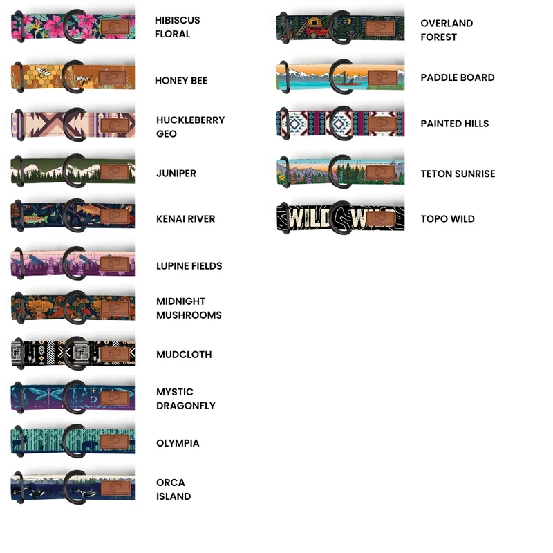 Buckle-On Martingale Dog Collar (all designs)