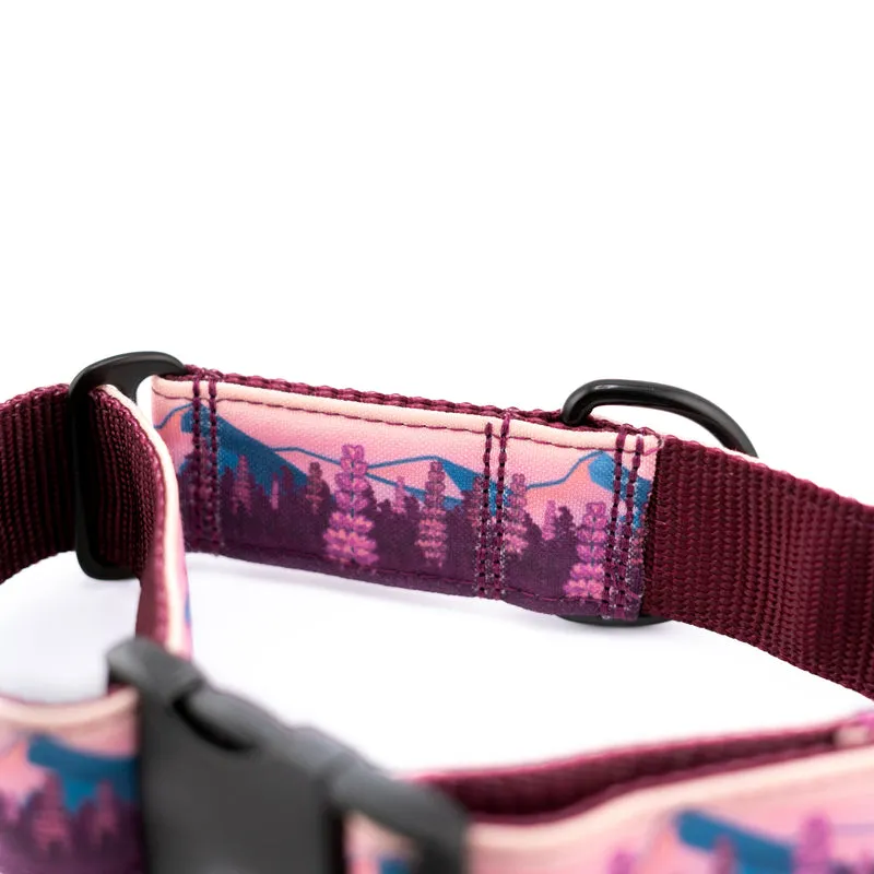 Buckle-On Martingale Dog Collar (all designs)
