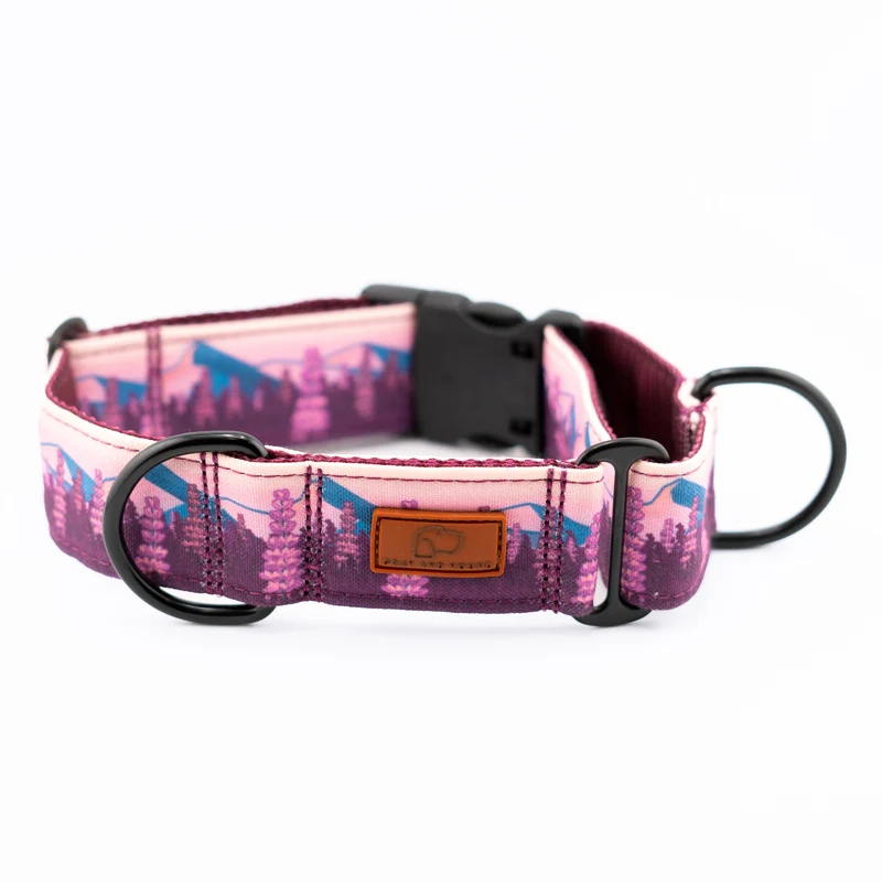 Buckle-On Martingale Dog Collar (all designs)