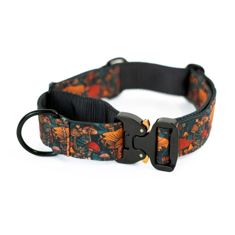 Buckle-On Martingale Dog Collar (all designs)