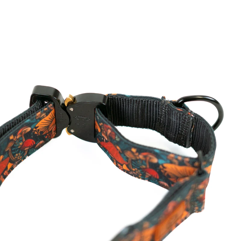 Buckle-On Martingale Dog Collar (all designs)