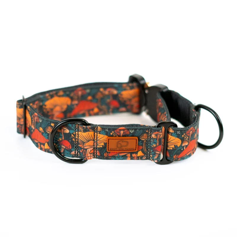 Buckle-On Martingale Dog Collar (all designs)