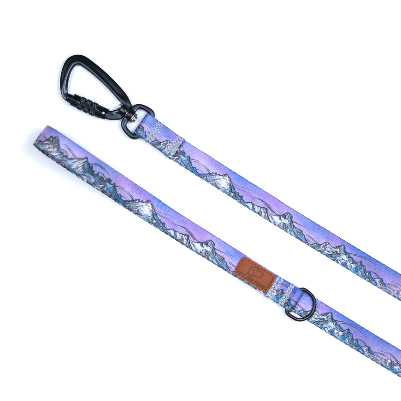 Glacier Cascades Leash
