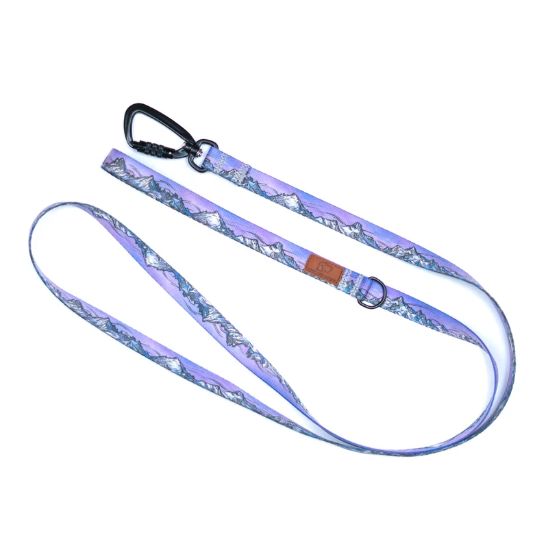Glacier Cascades Leash
