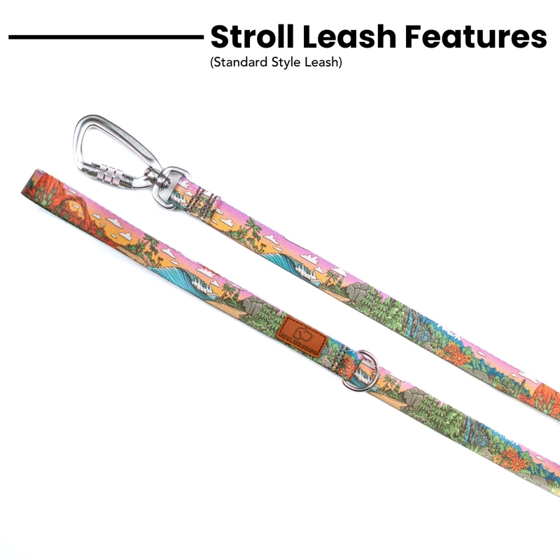 Glacier Cascades Leash