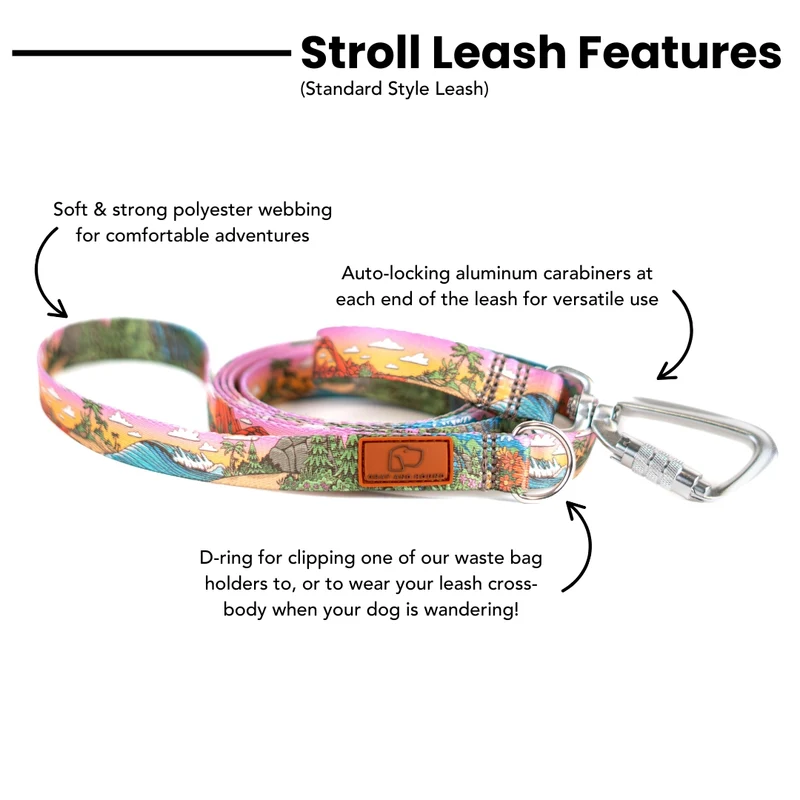 Glacier Cascades Leash