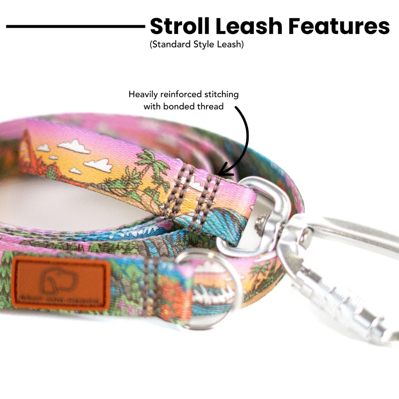 Glacier Cascades Leash