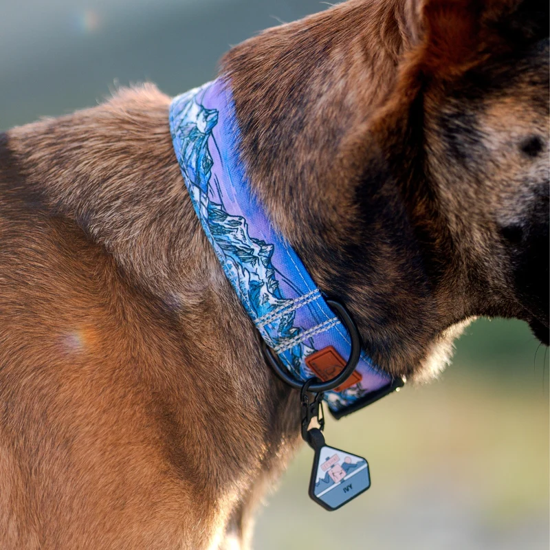 Glacier Cascades Collar