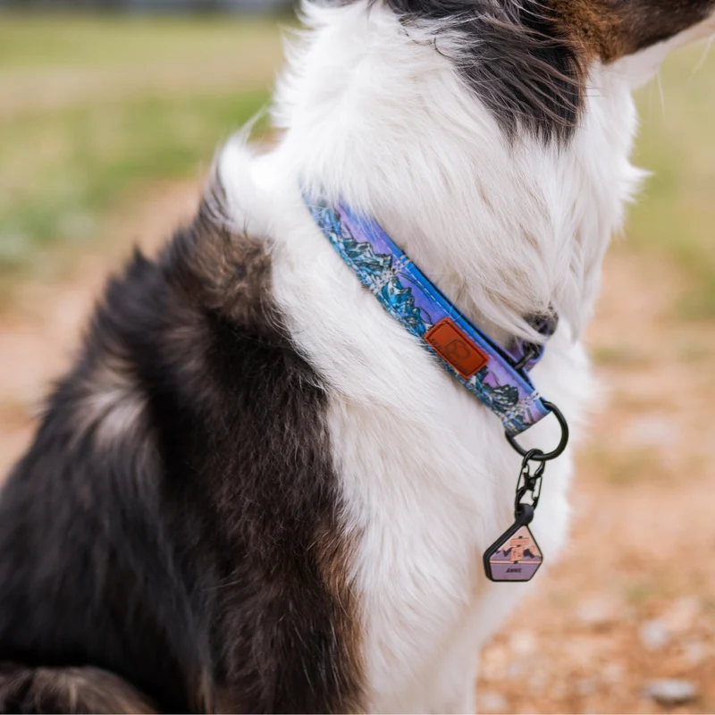Glacier Cascades Collar