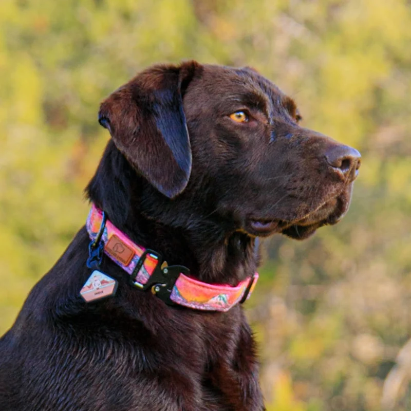 Lava Cascades Collar