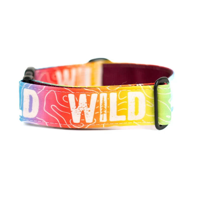 Rainbow Topo Wild Collar