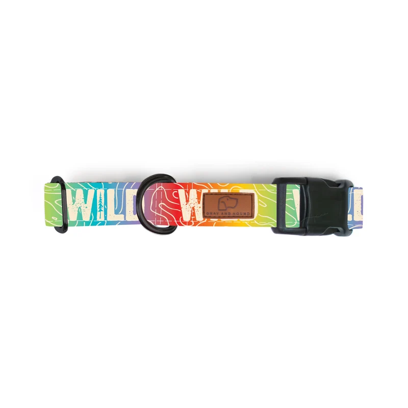 Rainbow Topo Wild Collar