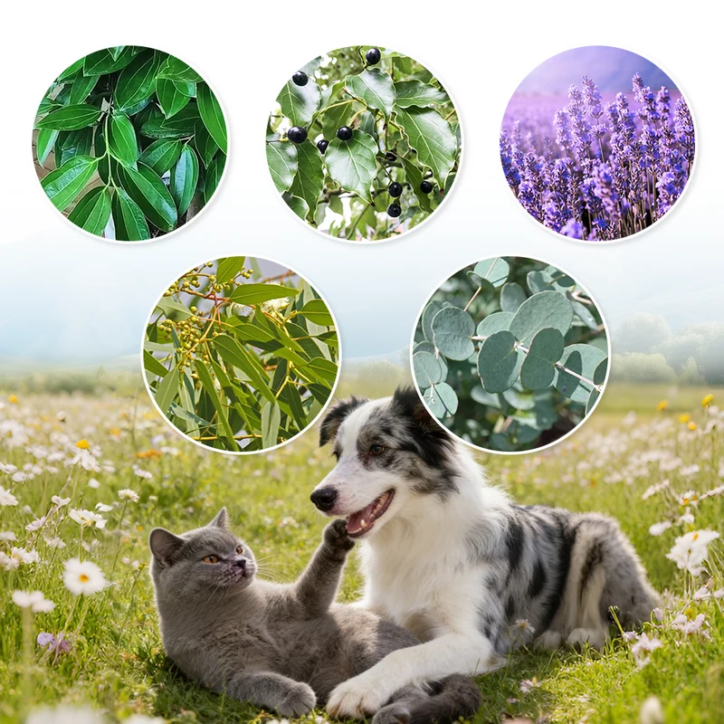 Donate €1 to Help Stray Pets — Get a Flea Collar for Your Pet(Only 5 Orders Available Per Day)