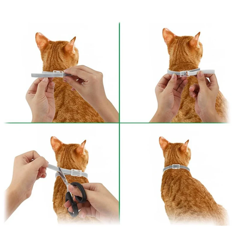 Donate €1 to Help Stray Pets — Get a Flea Collar for Your Pet(Only 5 Orders Available Per Day)