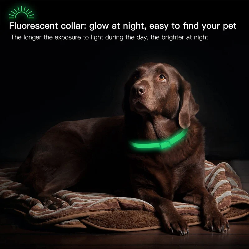 DEWEL-Leuchtendes Floh- & Zeckenhalsband für mittelgroße und große Hunde – Verstellbar 63,5 cm, Für sichere Nachtspaziergänge – 8 Monate Schutz