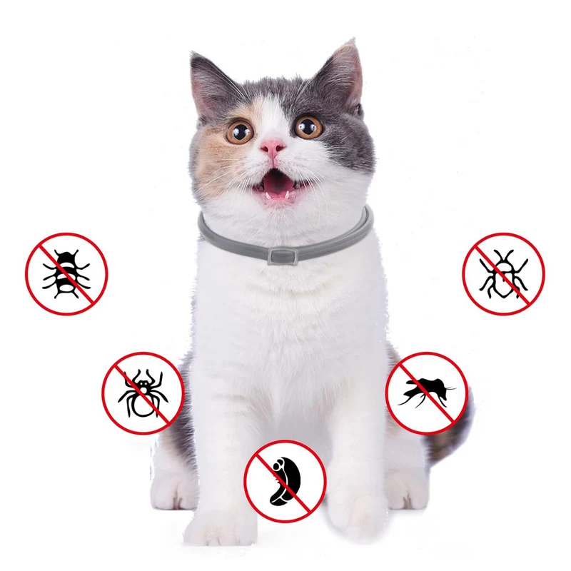 DEWEL-Basis Floh- & Zeckenhalsband für Katzen & kleine Hunde – Verstellbar 34,5 cm, Ideal für tägliche Stadtspaziergänge – 8 Monate Schutz
