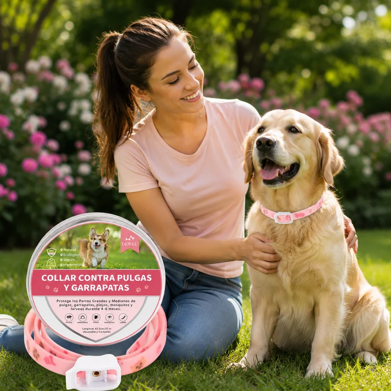 DEWEL-Floral Flea & Tick Collar–Adjustable 63.5cm for Medium & Large Dogs, Stylish Pet Decoration– 8-Month Protection
