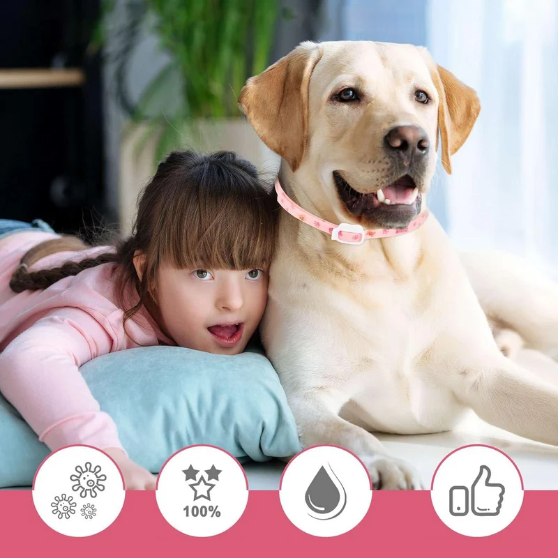 DEWEL-Floral Flea & Tick Collar–Adjustable 63.5cm for Medium & Large Dogs, Stylish Pet Decoration– 8-Month Protection