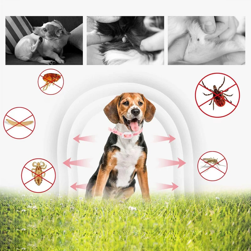 DEWEL-Floral Flea & Tick Collar–Adjustable 63.5cm for Medium & Large Dogs, Stylish Pet Decoration– 8-Month Protection
