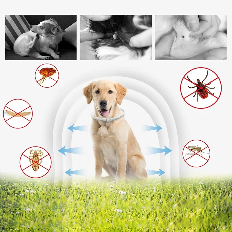 DEWEL-Daily Flea & Tick Collar White-Adjustable 63.5cm for Medium & Large Dogs, City Strolls – 8-Month Protection