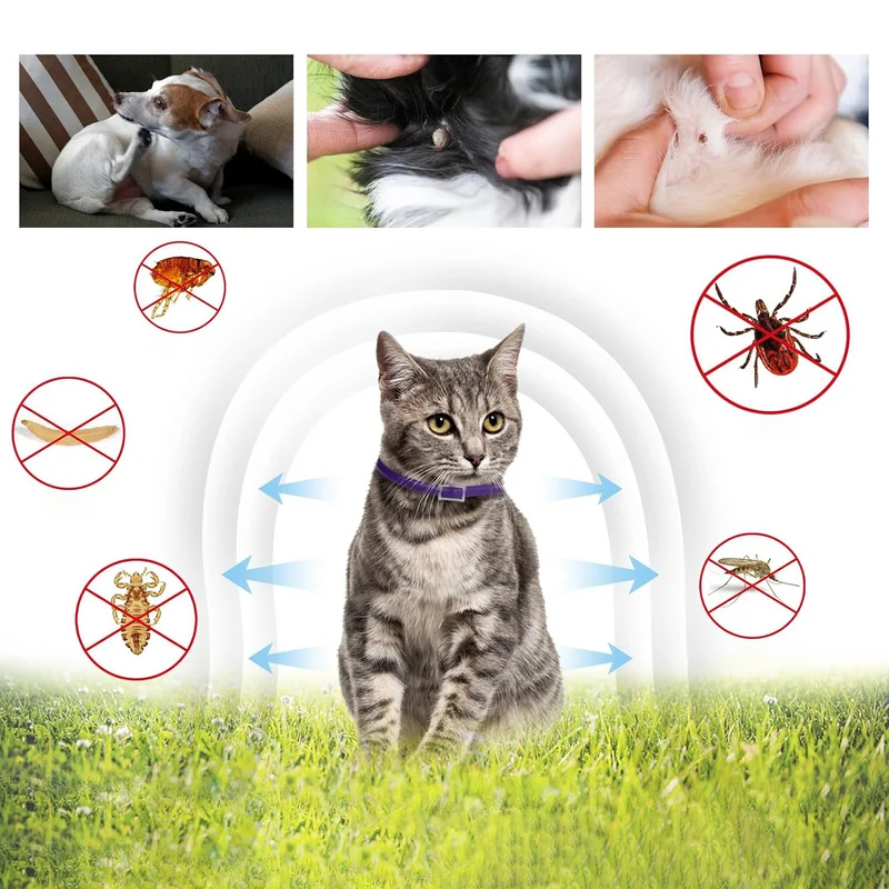 DEWEL-Multi-Style Flea & Tick Collar Set–Adjustable 34.5cm for Cats&Small Dogs, Daily, Camping & Night Safety-8-Month Protection (3/4 Pack)