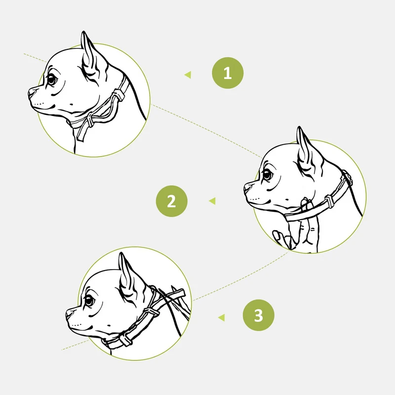 DEWEL-Gentle Care Flea & Tick Collar-Adjustable 63.5cm for Medium & Large Dogs, Sensitive Skin Care – 8-Month Protection
