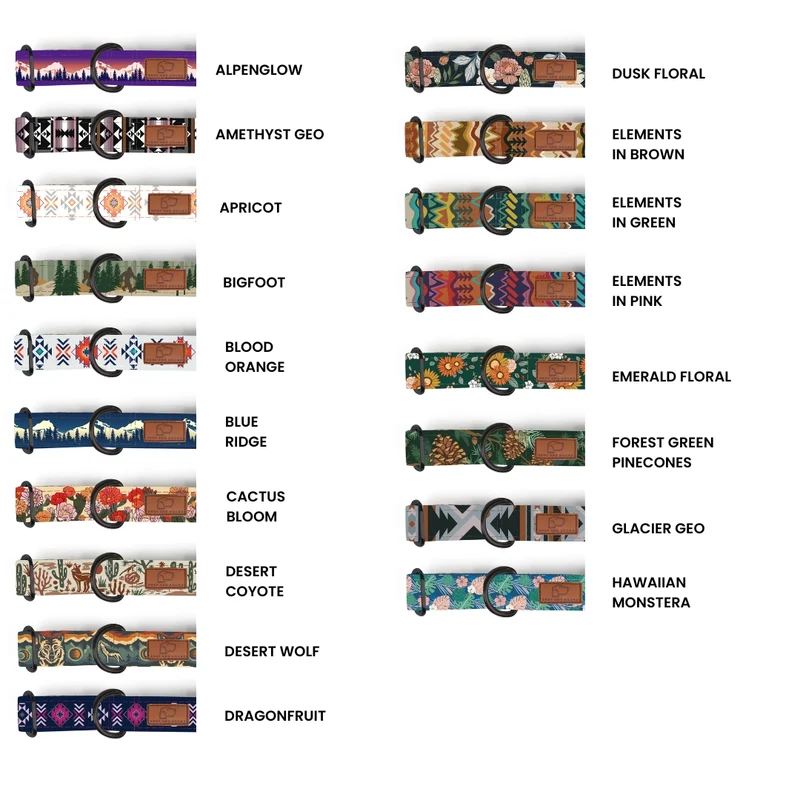 Metal Cobra Buckle Dog Collar Three Pack (choose your designs)