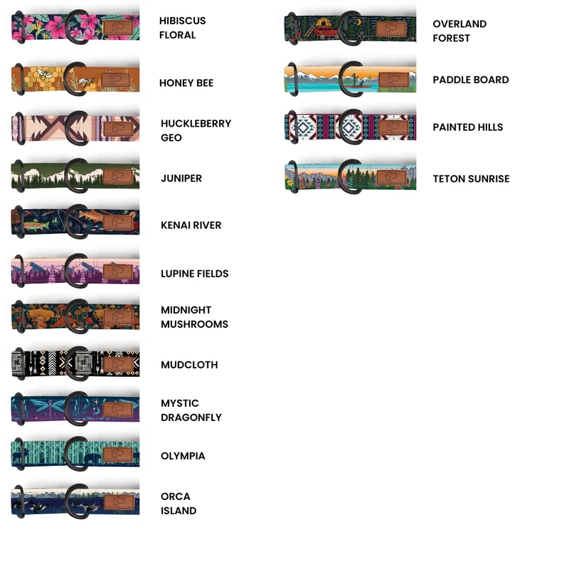 Metal Cobra Buckle Dog Collar Three Pack (choose your designs)
