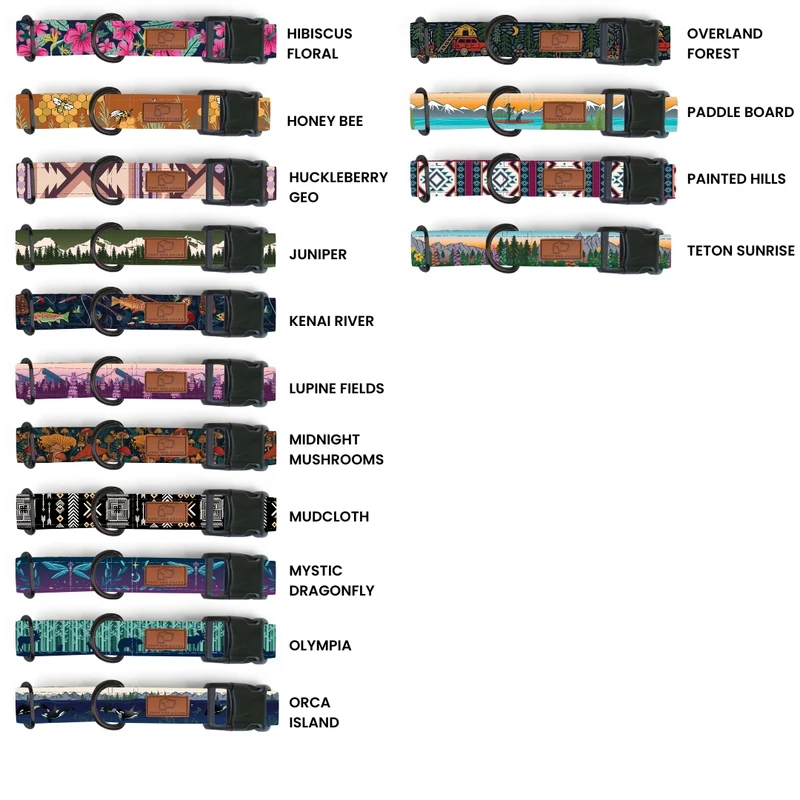 Plastic Buckle Dog Collar Three Pack (choose your designs)