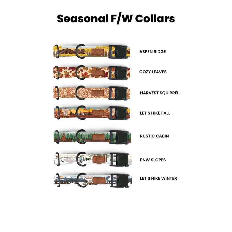 Plastic Buckle Dog Collar Three Pack (choose your designs)