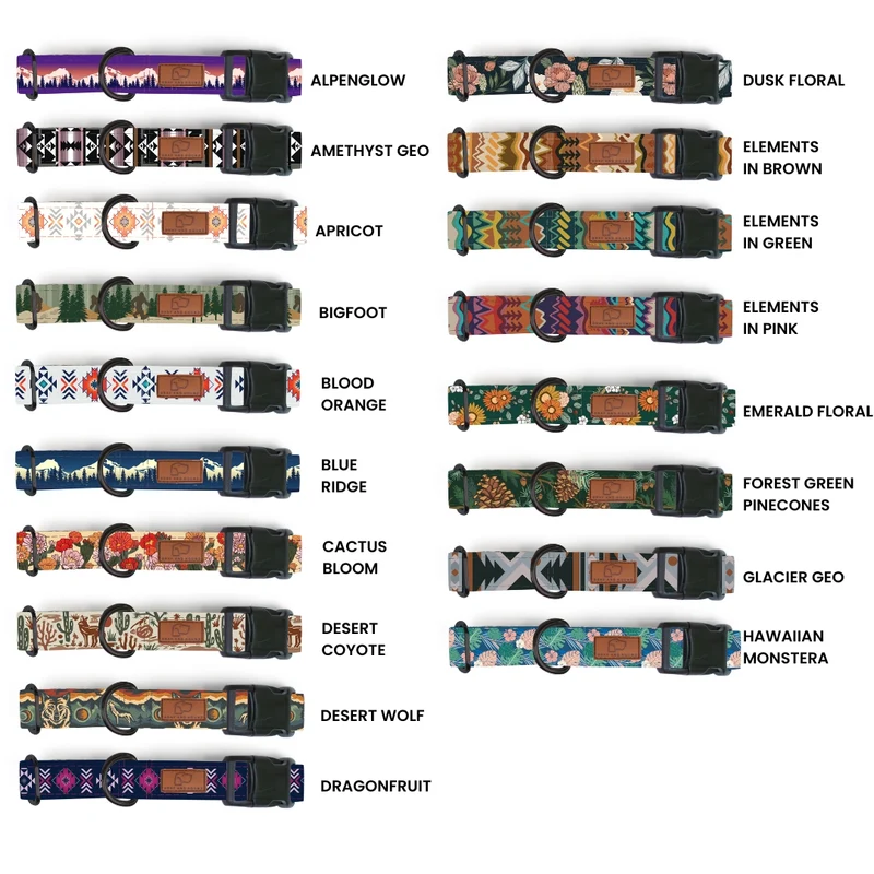Plastic Buckle Dog Collar Two Pack (choose your designs)