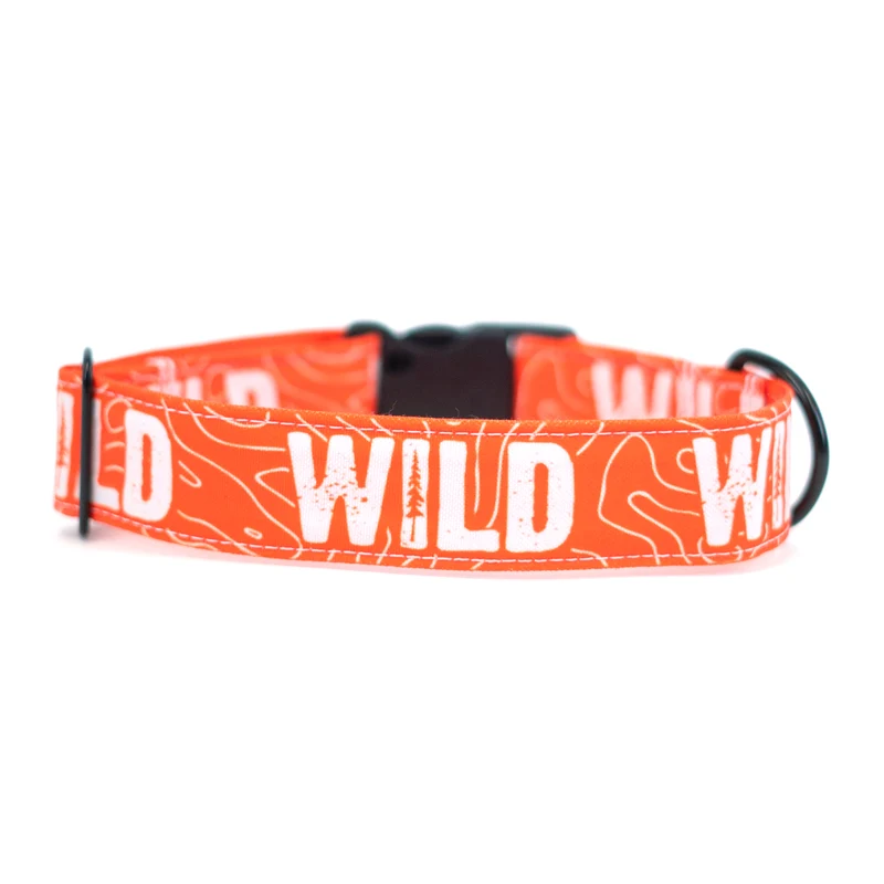 Neon Orange WILD Collar