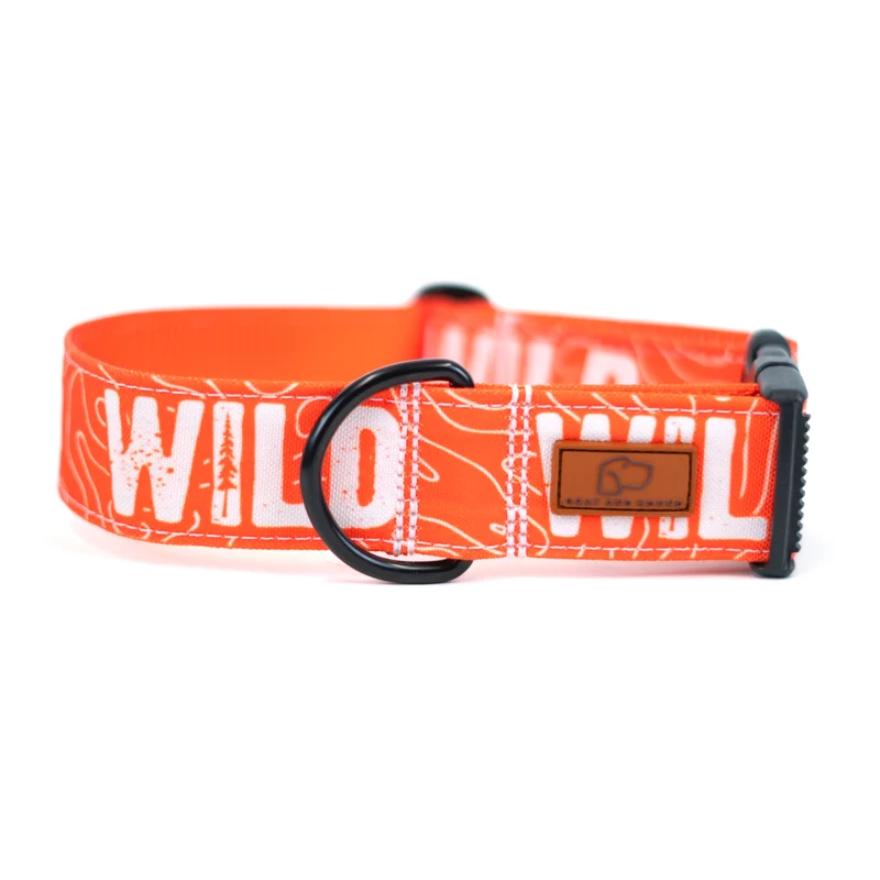 Neon Orange WILD Collar