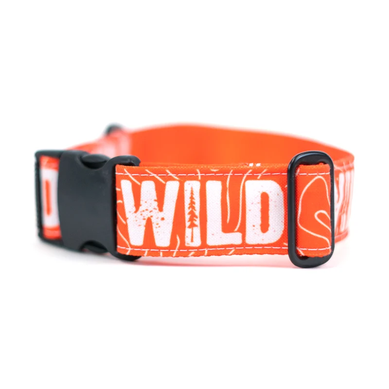 Neon Orange WILD Collar