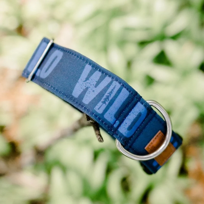 Blueberry Wild Collar