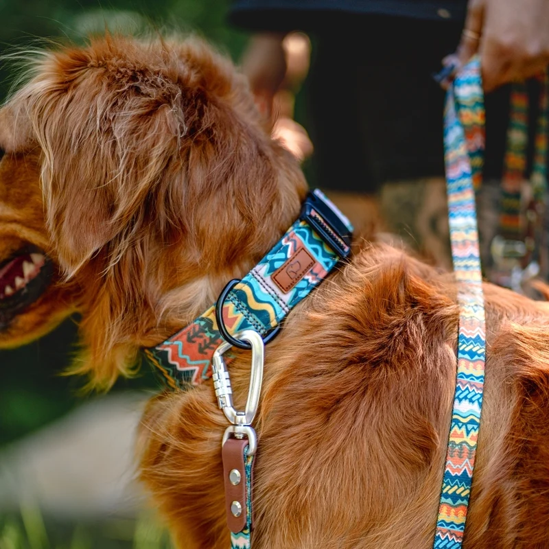 Elements in Green Collar