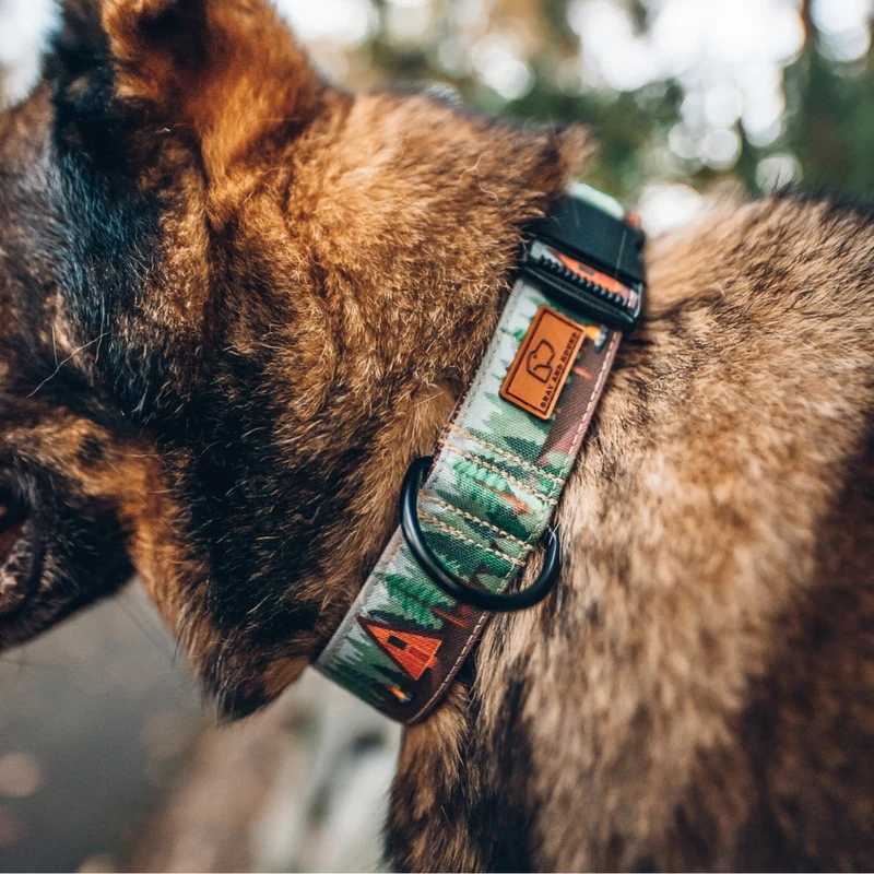 Rustic Cabin Collar