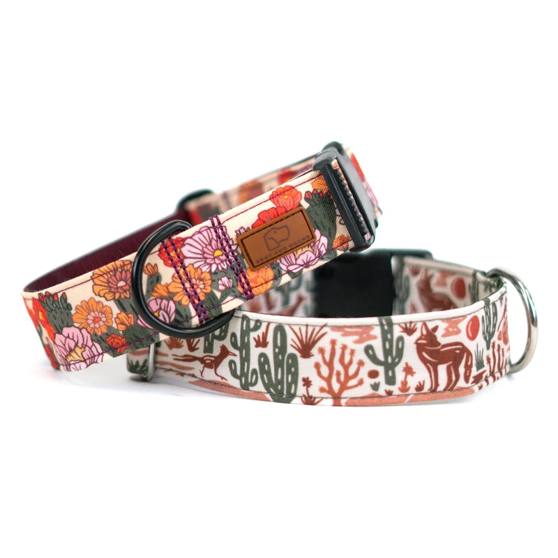 Desert Coyote Collar