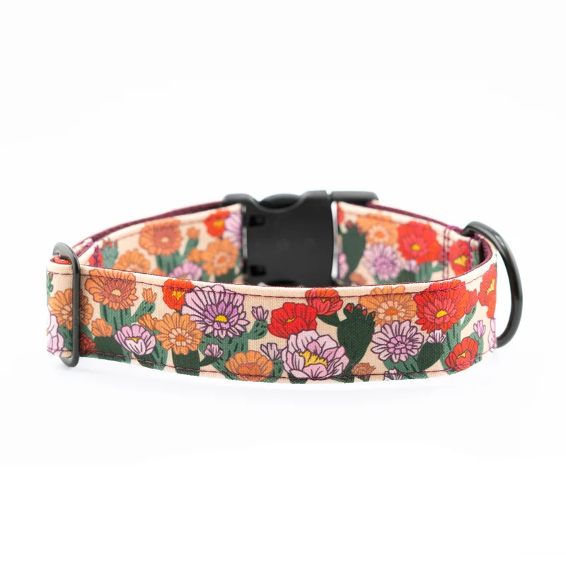 Cactus Bloom Collar