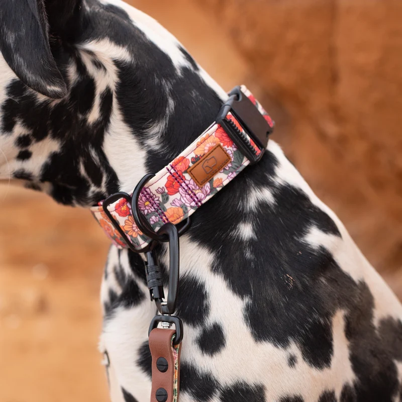 Cactus Bloom Collar