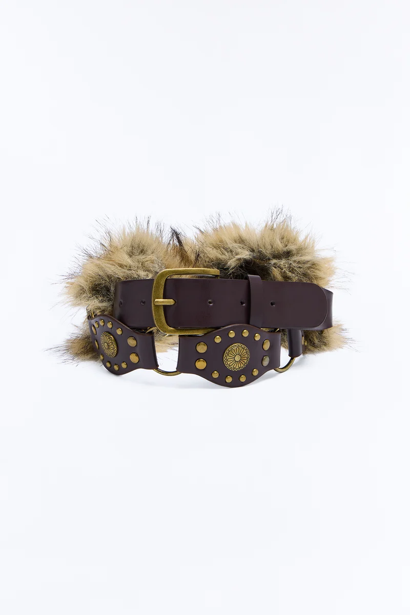 Frost and Flair Wide Belt - Brown