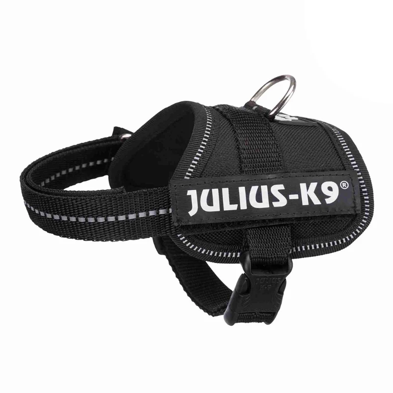 ARNES JULIUS-K9 POWER NEGRO